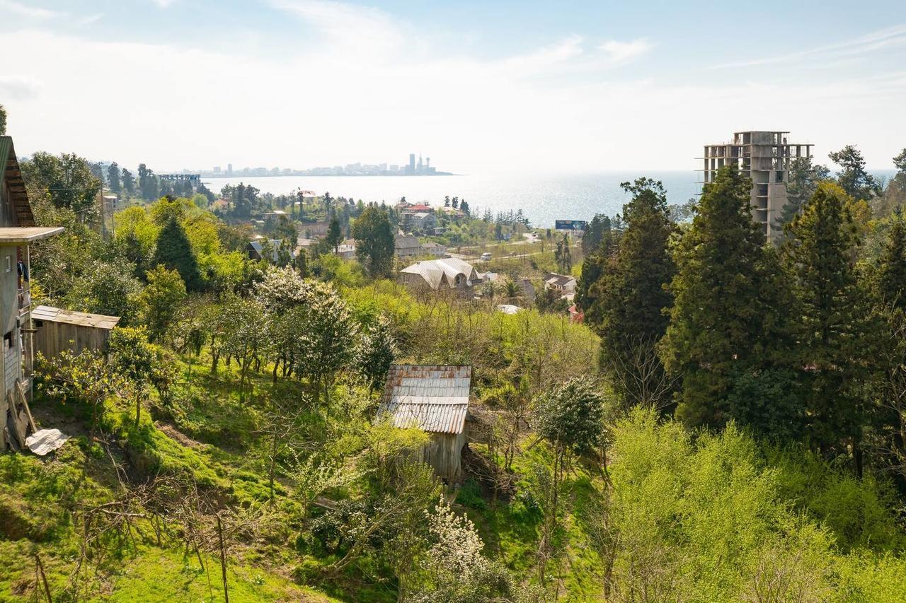 Sunny Hotel Batumi Makhinjauri Ngoại thất bức ảnh